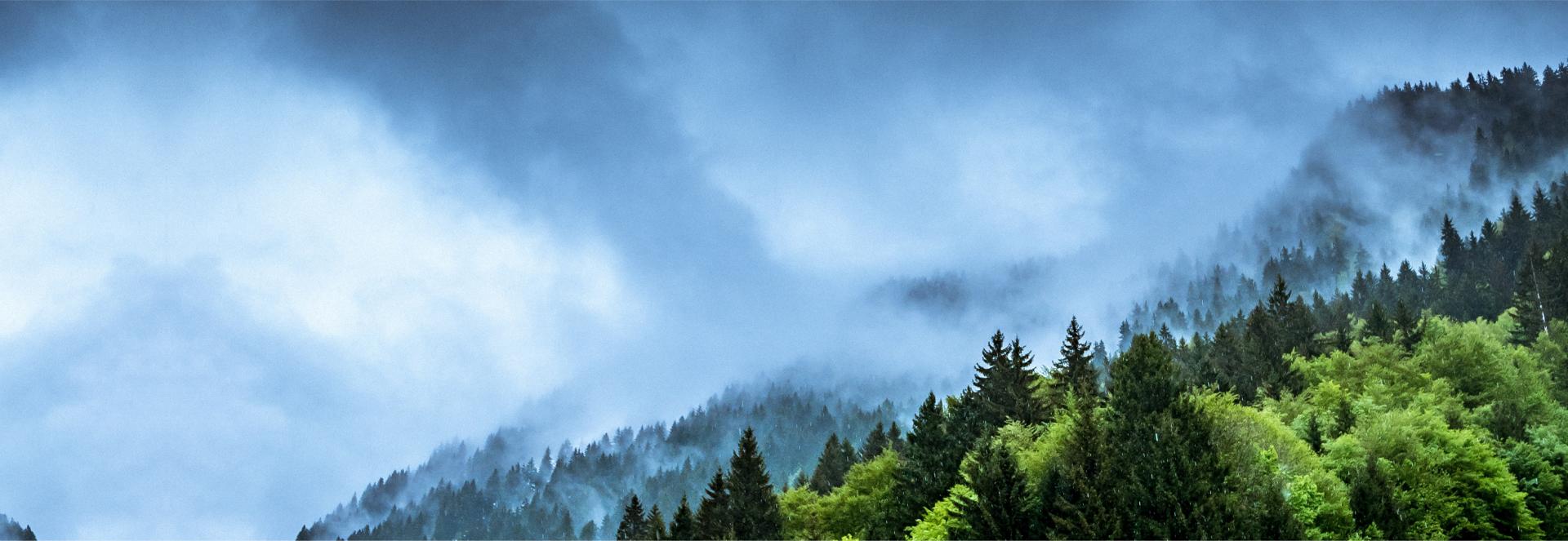 Berglandschaft